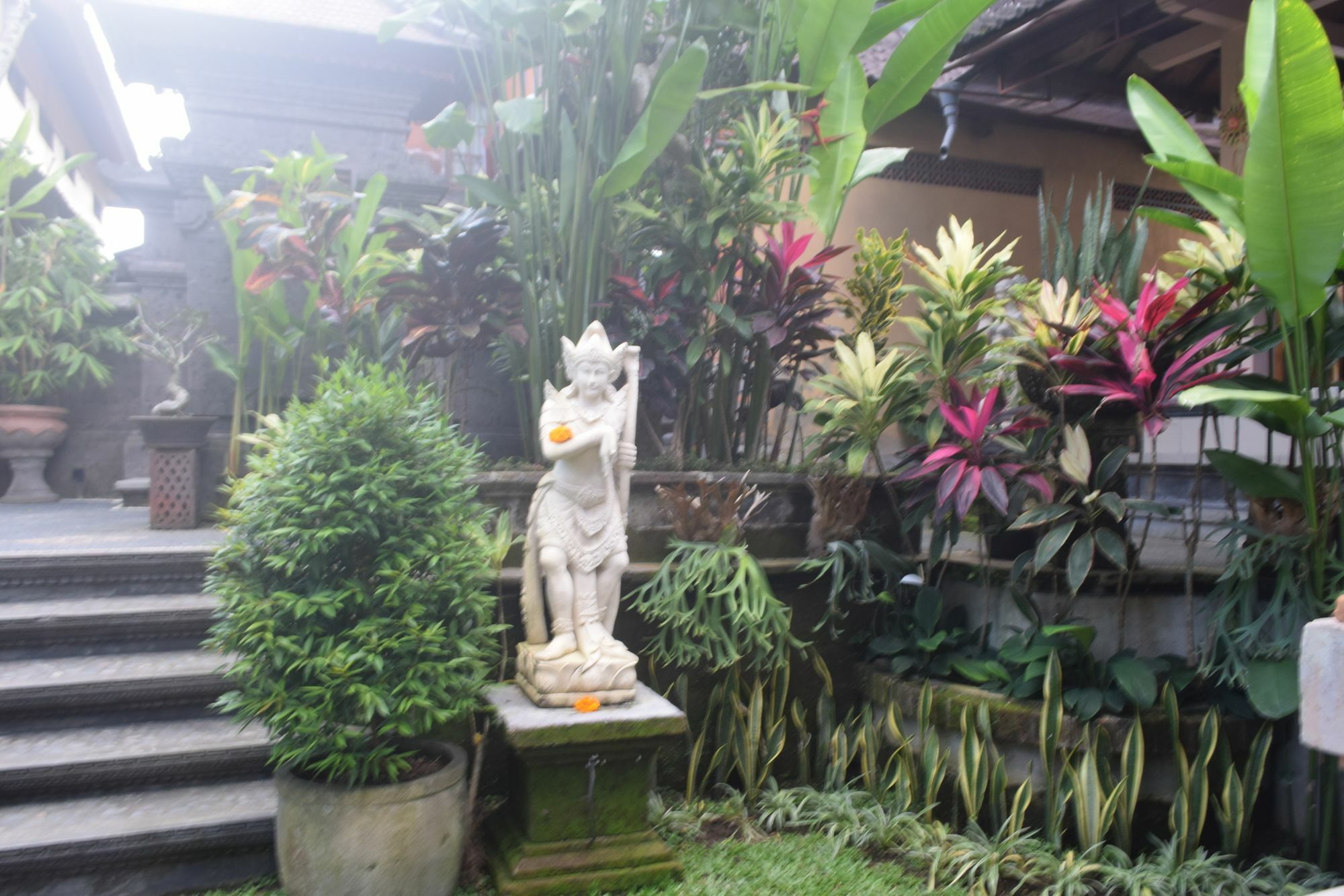 Aura Bisma Hotel Ubud Kültér fotó
